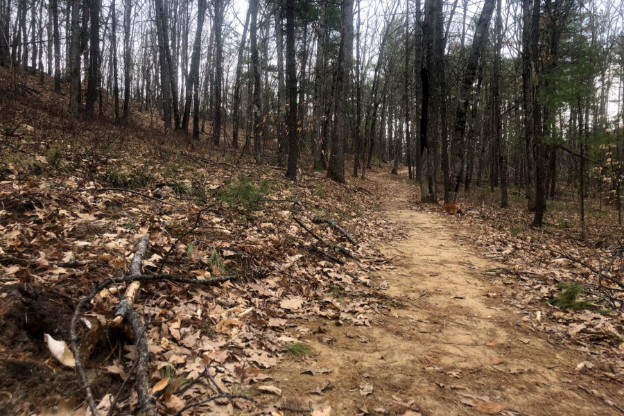 New trail leading to Jockey Cap from the new parking lot.